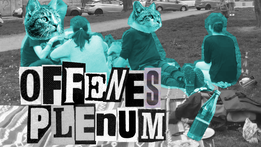 Offenes Plenum Sharepic